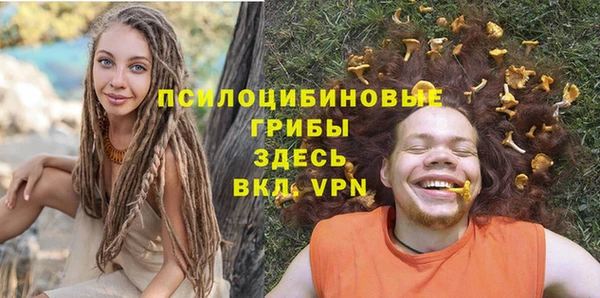 крисы Бронницы